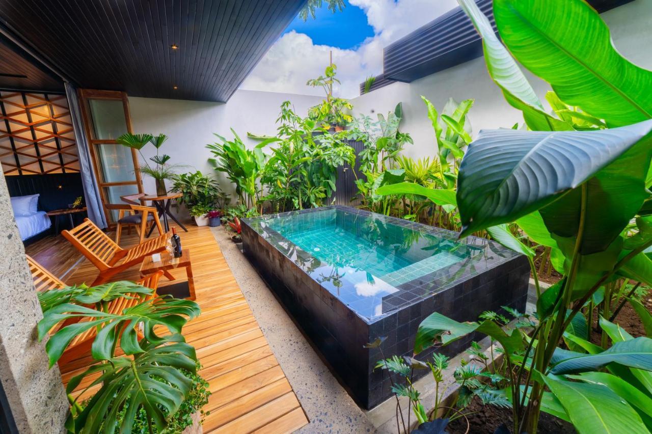 Appartement Danta Santa Lofts à La Fortuna Extérieur photo