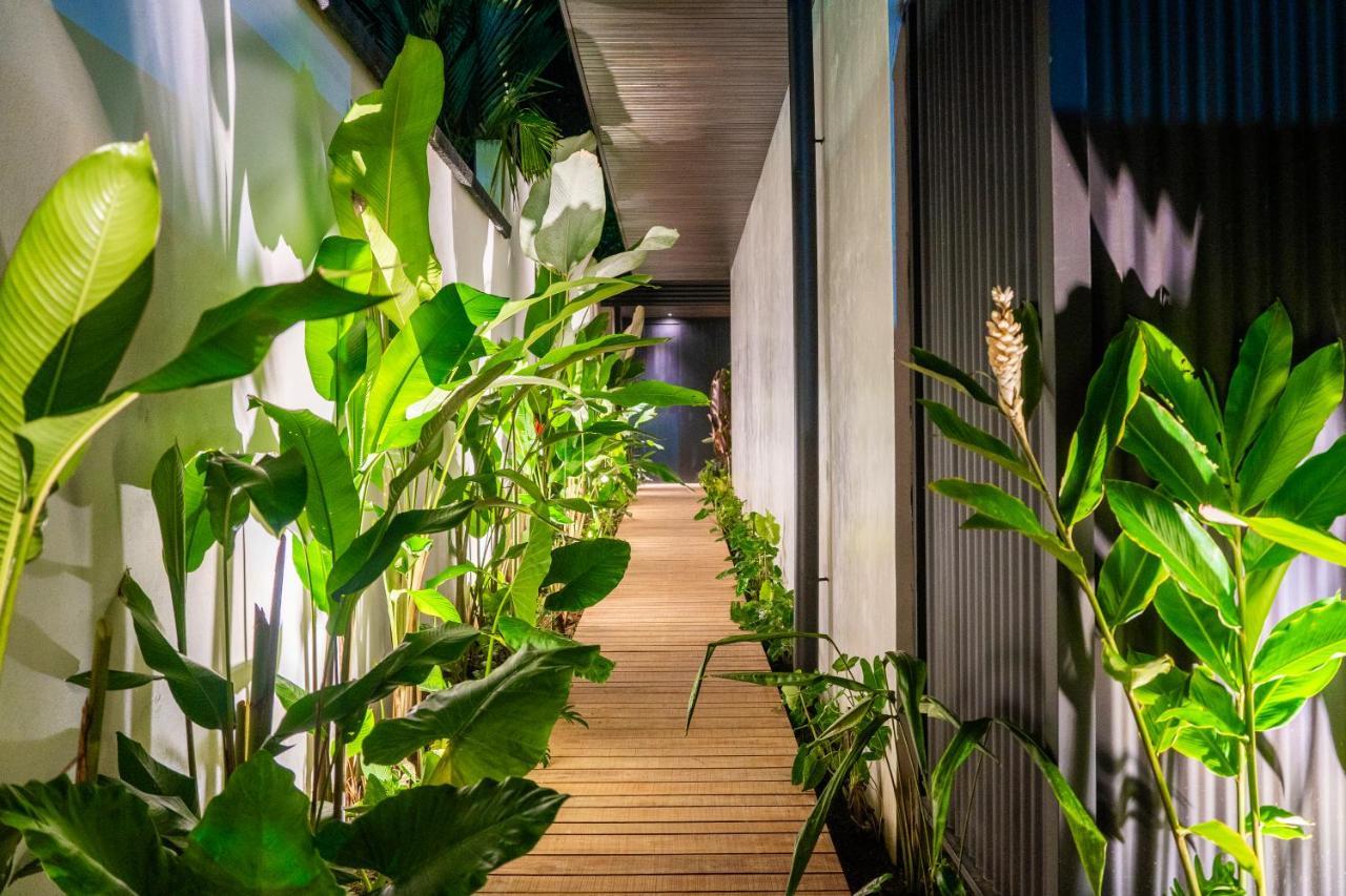 Appartement Danta Santa Lofts à La Fortuna Extérieur photo